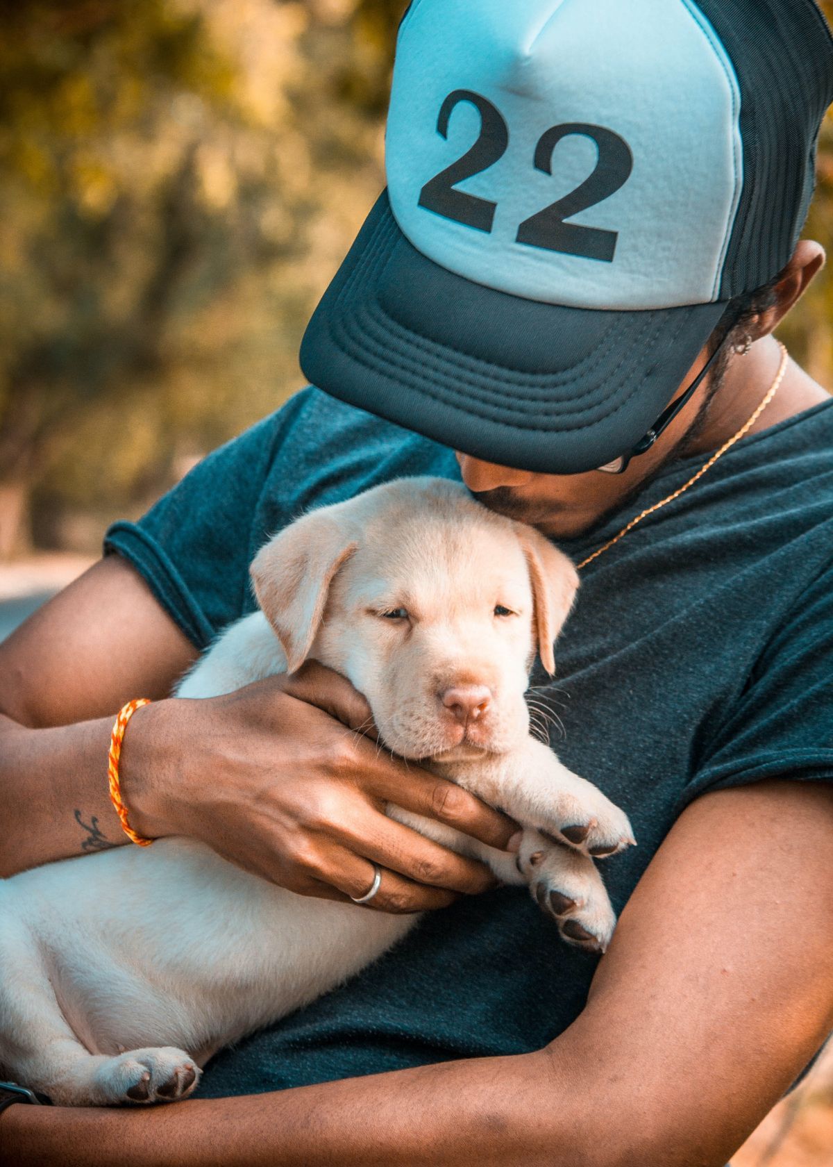 10 Things Every New Dog Owner Needs to Know